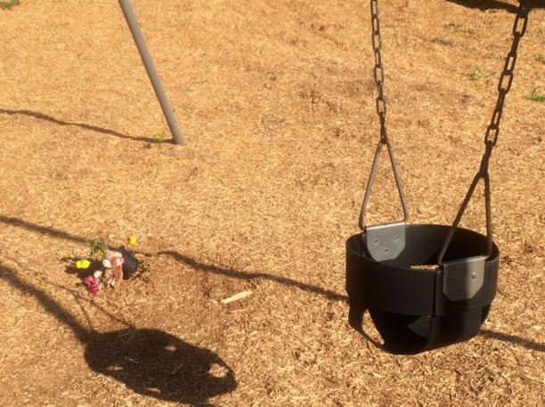 capture-swing-set2