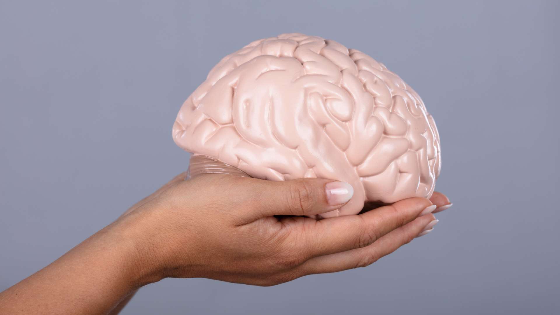 Brain in hand