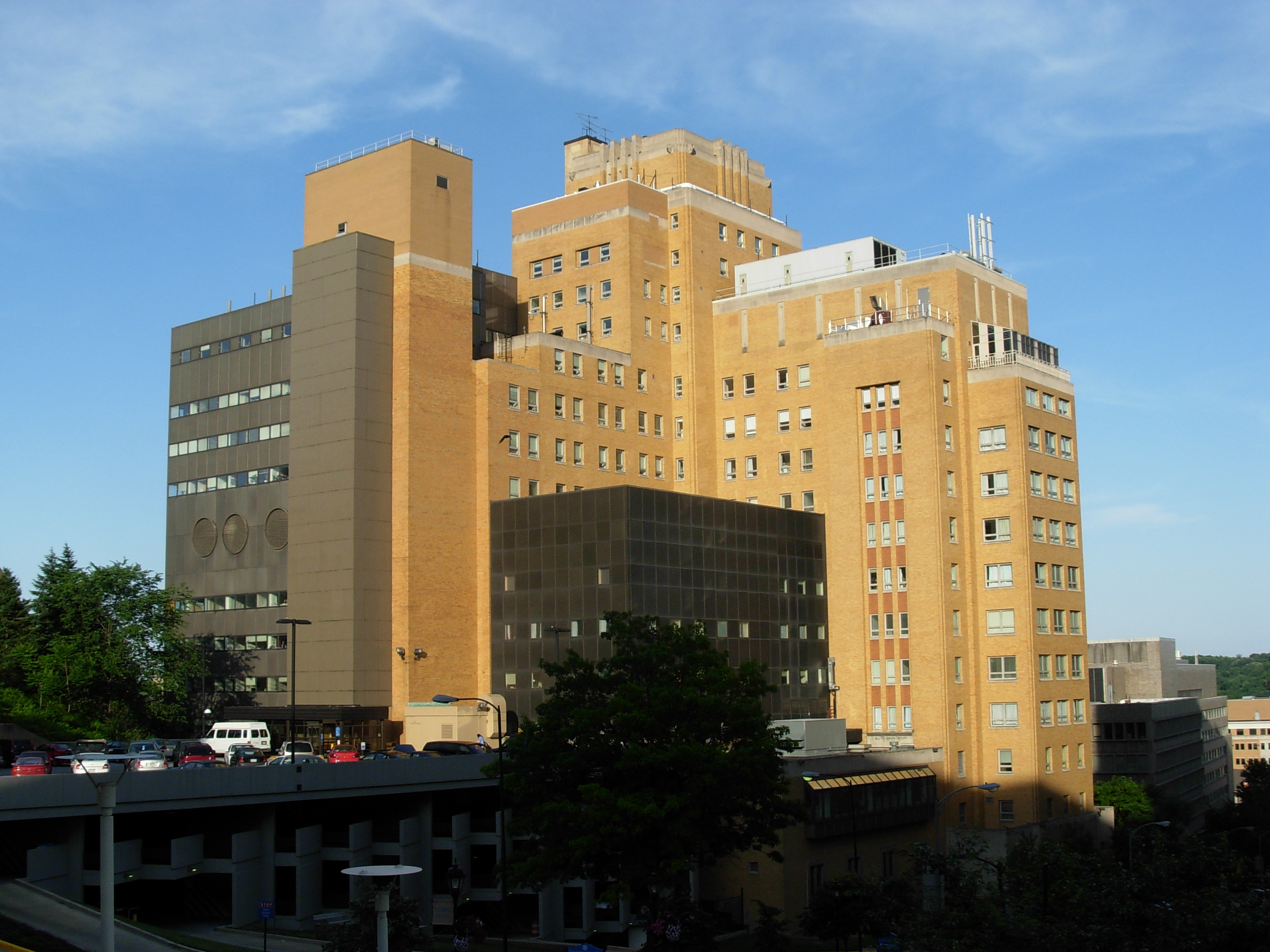 western psychiatric institute