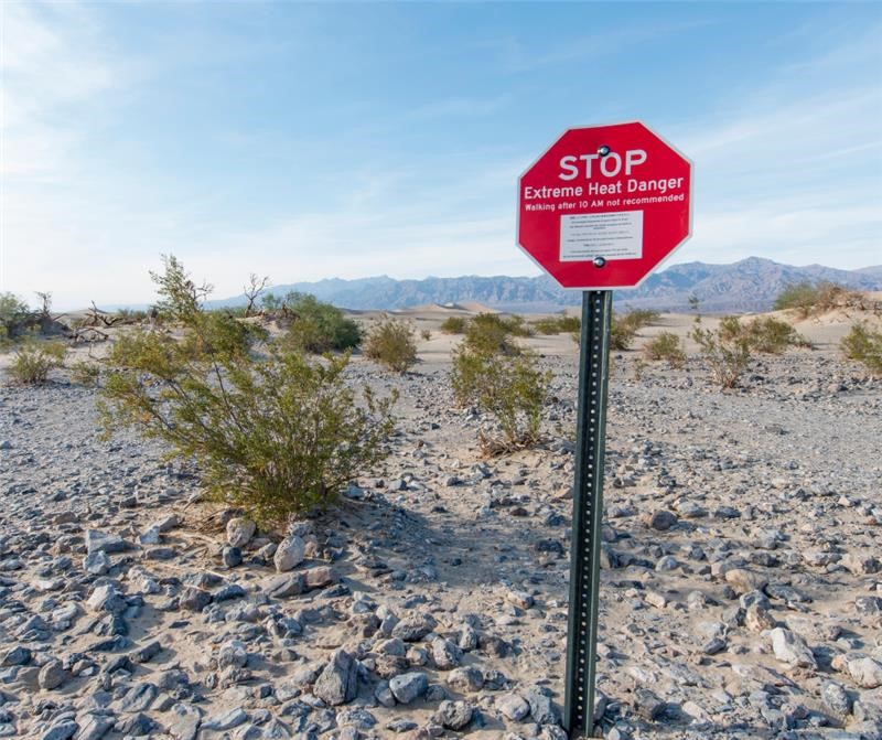 Desert Stop Sign