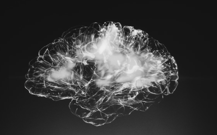 RW - Brain image